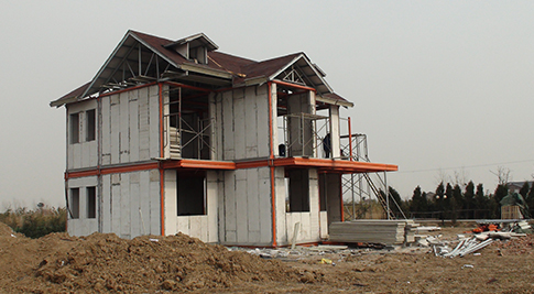 Shanghai Chongming Island Tomato Farm